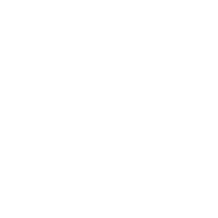 Nivs Logo